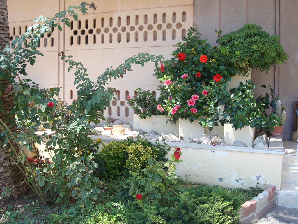Park Hotel Baia Domizia Dış mekan fotoğraf